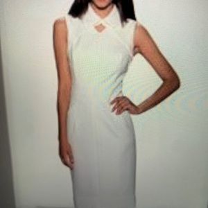 Etcetera White Collar Dress